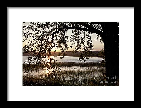 August Framed Print featuring the photograph Sunrise Silhouette by Susan Cole Kelly