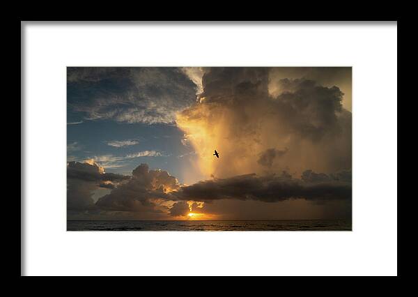 Florida Framed Print featuring the photograph Sunrise Thunderstorm Bird Delray Beach Florida by Lawrence S Richardson Jr