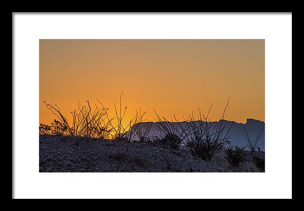 Sunrise Framed Print featuring the photograph Sunrise With Ocotillo #1 by Al White