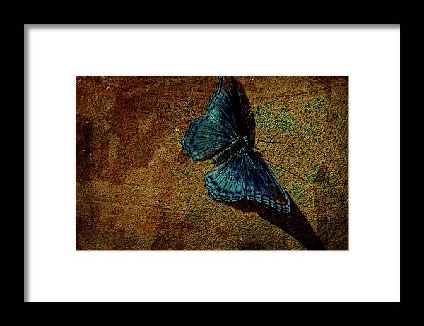 Butterfly Framed Print featuring the mixed media Suns Cast Butterfly Art by Lesa Fine