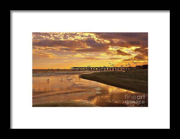 Scenic Framed Print featuring the photograph Sunset And Gulls by Kathy Baccari
