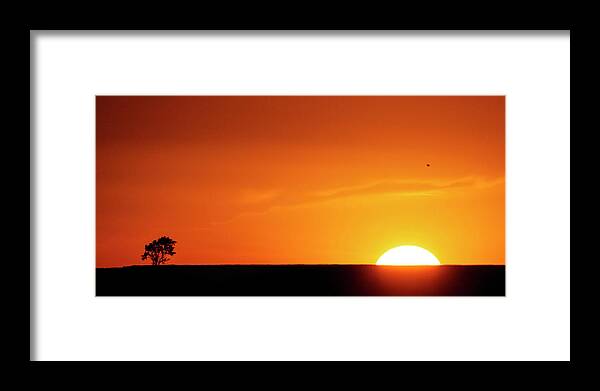Kansas Framed Print featuring the photograph Sunset and Tree -01 by Rob Graham