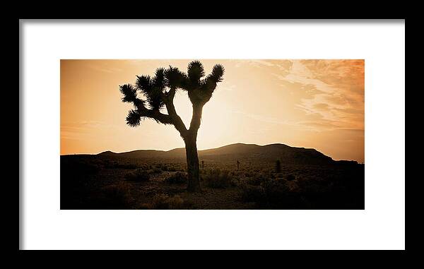 Sunset Framed Print featuring the photograph Sunset Desert Silhouette by Doug Rogahn Fine Art Photography