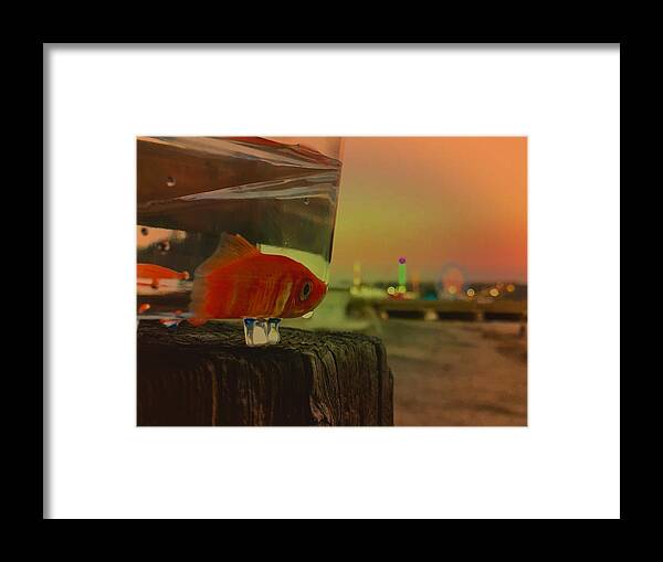 Fish Framed Print featuring the photograph Sunset Fish by Modern Art