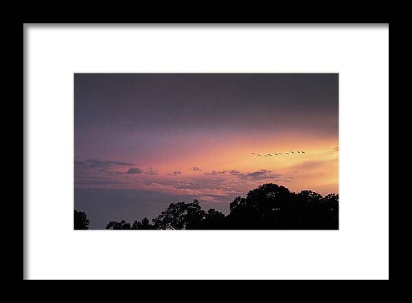 Sunset Framed Print featuring the photograph Sunset Flight by Jessica Jenney