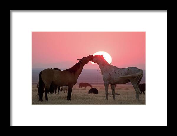 Wild Horses Framed Print featuring the photograph Sunset Horses by Wesley Aston