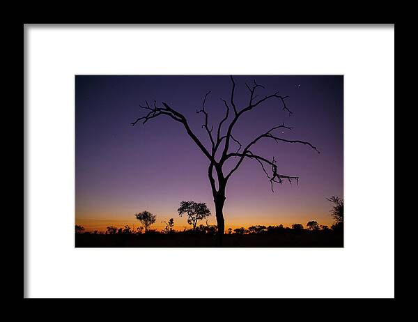 Africa Framed Print featuring the photograph Sunset in Africa by Matt Cohen