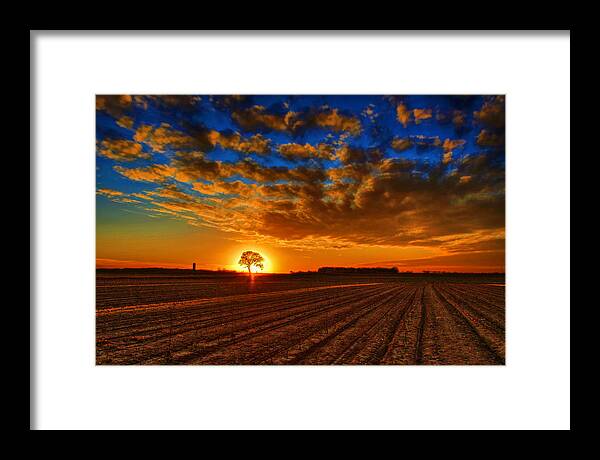 Sunset Framed Print featuring the photograph Sunset Oak by Rod Melotte