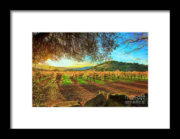 Napa Framed Print featuring the photograph Sunset over Napa by Jon Neidert