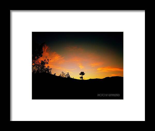 Sunset Framed Print featuring the photograph Sunset - Palm Mountain by Guy Hoffman