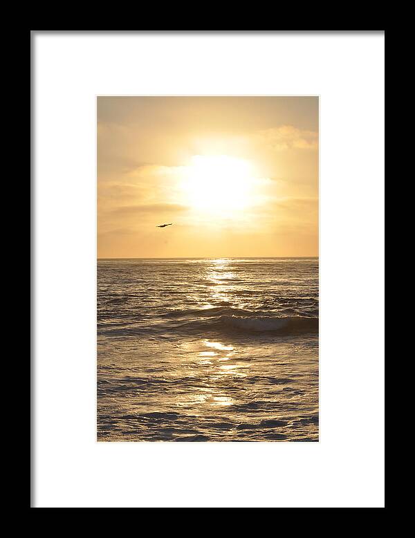 Bird Framed Print featuring the photograph Sunset Pelican Silhouette by Bridgette Gomes