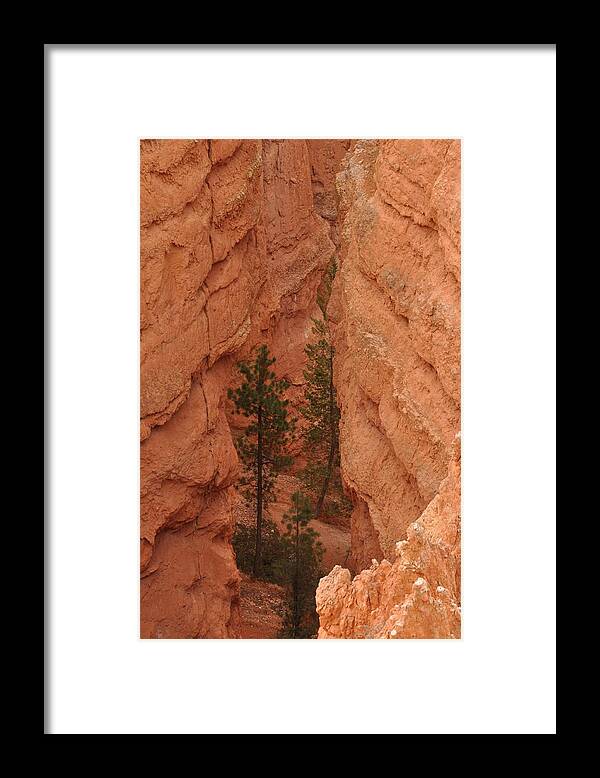 Sunset Point Framed Print featuring the photograph Sunset Point - Bryce Canyon by Frank Madia