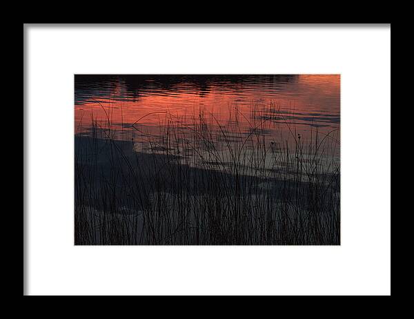 Camelot Island Framed Print featuring the photograph Sunset reeds by Gary Eason
