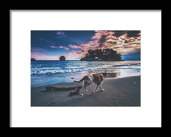 Dog Framed Print featuring the photograph Sunset Stroll by Mountain Dreams