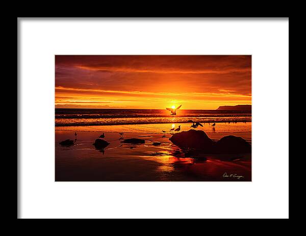Coronado Framed Print featuring the photograph Sunset Surprise by Dan McGeorge