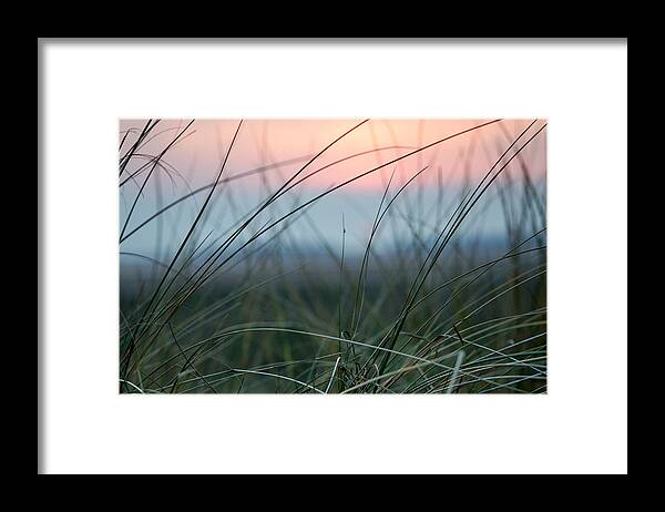 Sun Framed Print featuring the photograph Sunset through the marsh grass by Spikey Mouse Photography