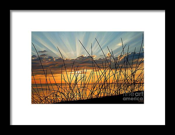 Beach Sunset Framed Print featuring the painting Sunset Thru the Grass by Sue Brehant