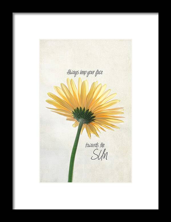 Floral Framed Print featuring the photograph Sunshine by Robin-Lee Vieira