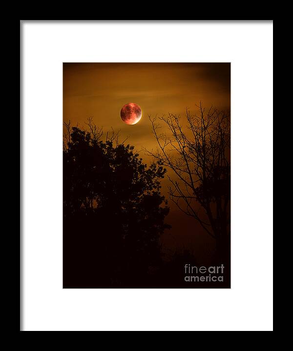 Moon Framed Print featuring the photograph Super Harvest Blood Moon Over Warren Dunes by Brett Maniscalco