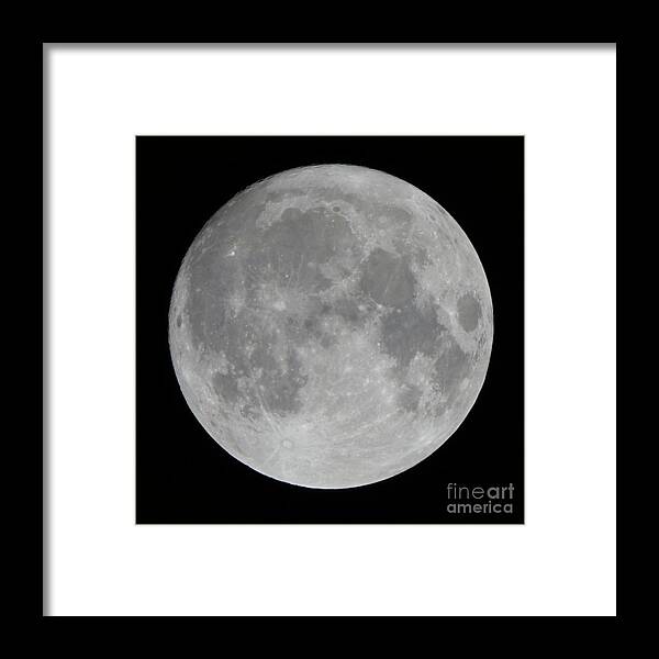 Moon Framed Print featuring the photograph Super Moon November 2016 by Robert E Alter Reflections of Infinity