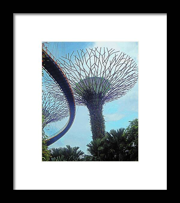 Gardens By The Bay Framed Print featuring the photograph Super Trees 17 by Ron Kandt