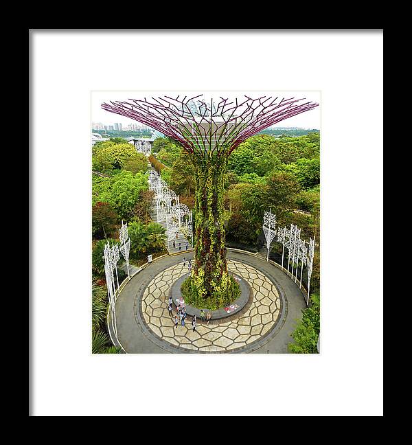 Gardens By The Bay Framed Print featuring the photograph Super Trees 30 by Ron Kandt