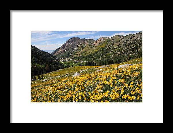 Landscape Framed Print featuring the photograph Superior Wasatch Wildflowers by Brett Pelletier