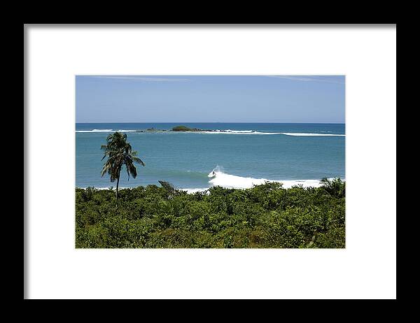 Framed Surf Pictures Framed Print featuring the photograph Surf in the Jungle by Julian Wicksteed