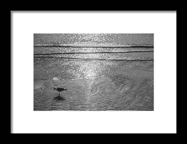 Elements Framed Print featuring the photograph Surf Sand Seagull by Jordan Blackstone
