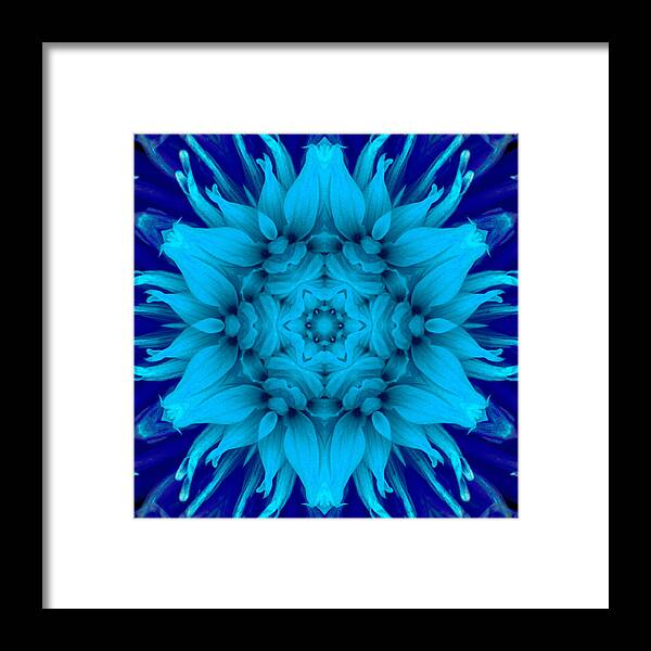 Flower Framed Print featuring the photograph Surreal Flower No. 5 by Andrew Giovinazzo