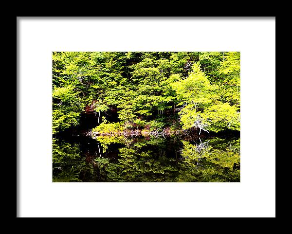  Water Reflection Framed Print featuring the photograph Surreal Springs Reflection by Stacie Siemsen