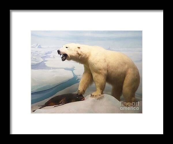 Polar Bear Framed Print featuring the photograph Survival of the Fittest by Cindy Manero