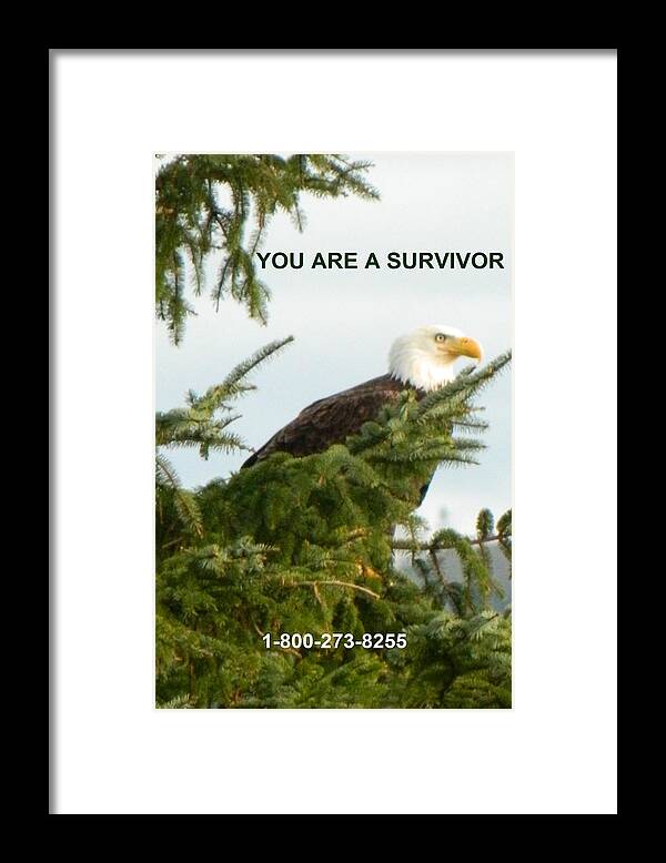Nature Framed Print featuring the photograph Survivor With Lifeline by Gallery Of Hope 