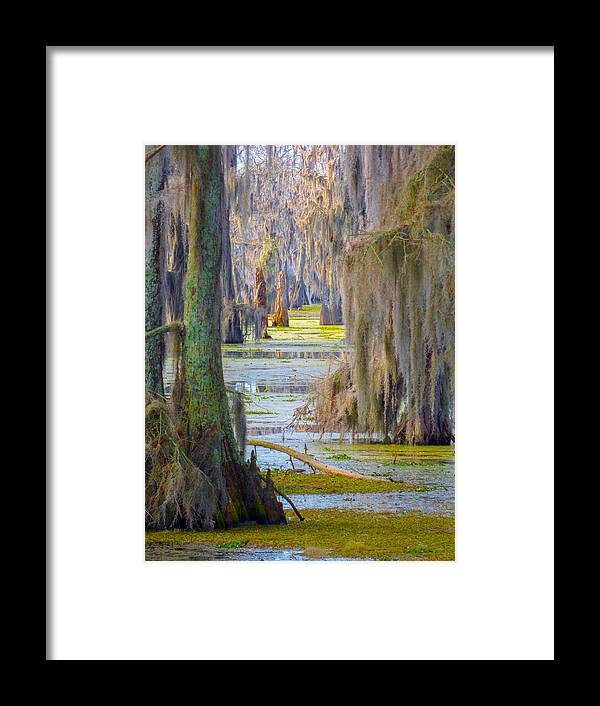 Orcinusfotograffy Framed Print featuring the photograph Swamp Curtains In February by Kimo Fernandez