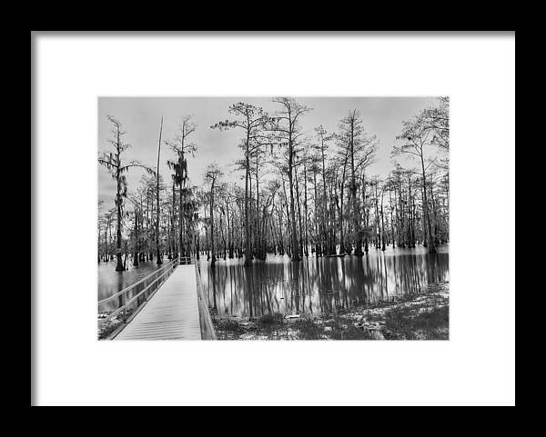 Swamp Framed Print featuring the photograph Swamp Dock Black And White by Ester McGuire