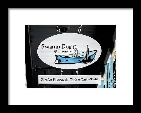 New Orleans Framed Print featuring the photograph Swamp Dog And Friends by Frances Ann Hattier