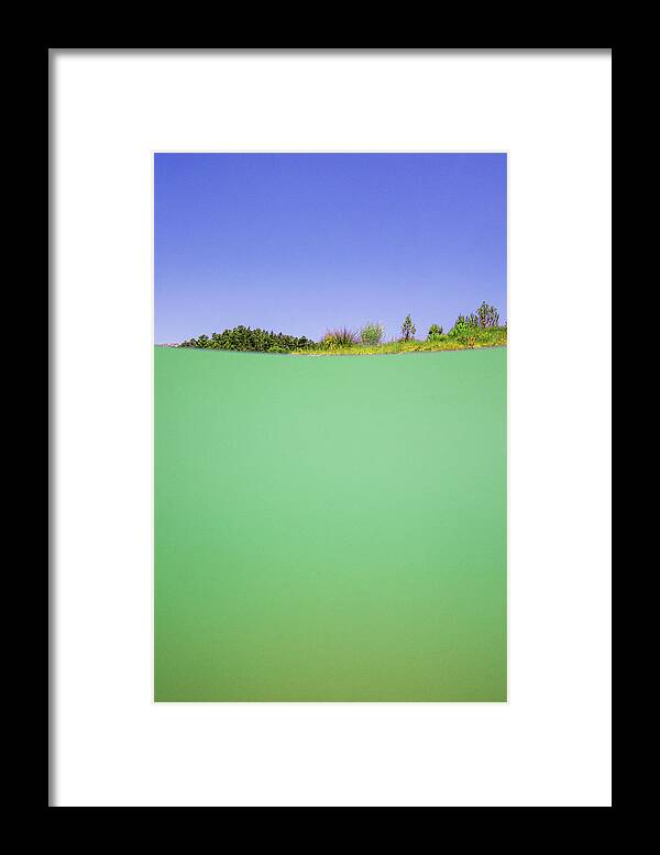 Swim Framed Print featuring the photograph Swamp by Gemma Silvestre