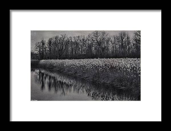 River Framed Print featuring the photograph Swamp River by Fran Gallogly