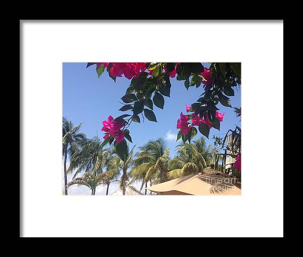 Palm Trees Framed Print featuring the photograph Swaying With the Breeze by Barbara Plattenburg