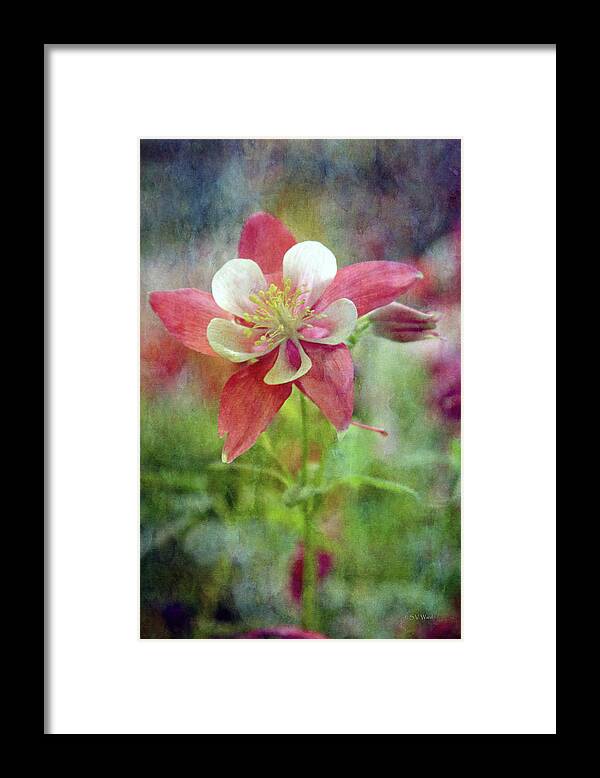 Impressionist Framed Print featuring the photograph Sweet Columbine 9281 IDP_2 by Steven Ward
