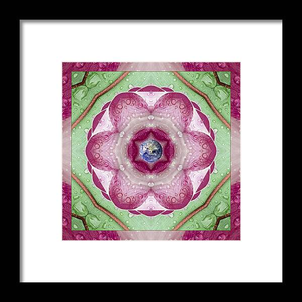 Mandalas Framed Print featuring the photograph Sweet Dew by Bell And Todd
