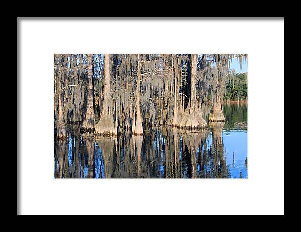 Water Framed Print featuring the photograph Sweet Home Florida by Rick McKinney