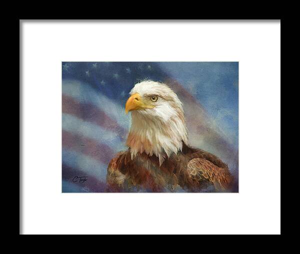 Bald Eagle Framed Print featuring the painting Sweet Land of Liberty by Colleen Taylor