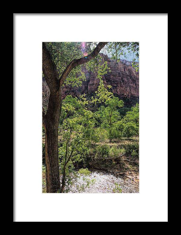 Utah Framed Print featuring the photograph Sweet Sunshine by Peggy Hughes