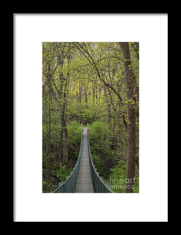 Swinging Bridge Framed Print featuring the photograph Swinging Bridge in Spring by Tamara Becker