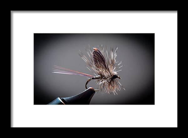 Fly Framed Print featuring the photograph Synthetic Adams by Phil And Karen Rispin