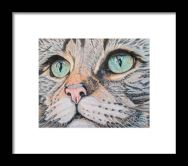 Tabby Cat Framed Print featuring the drawing Tabby Cat by Yvonne Johnstone