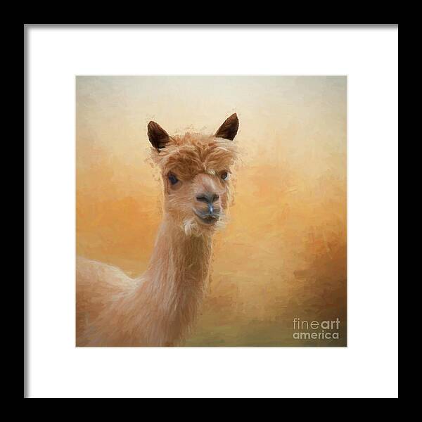 Alpaca Framed Print featuring the digital art Tahoe by Jayne Carney