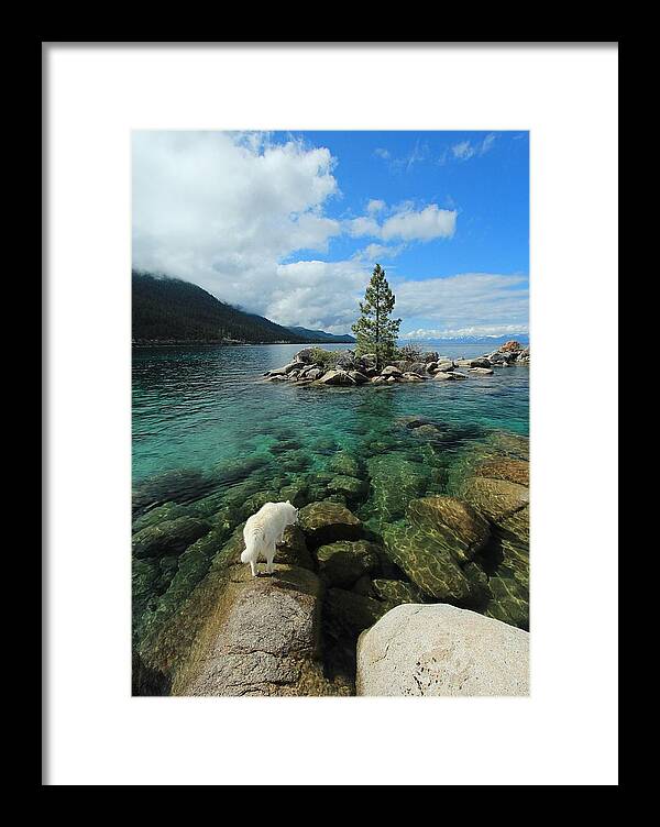 Lake Tahoe Framed Print featuring the photograph Tahoe Tap ...Nectar of The Gods by Sean Sarsfield
