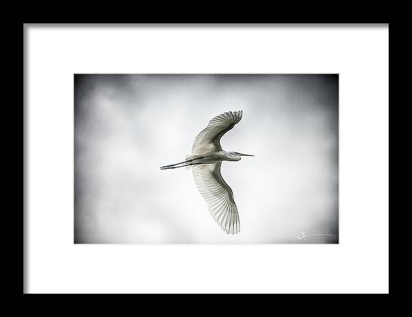 Florida Framed Print featuring the photograph Take The Time by Cornelius Powell